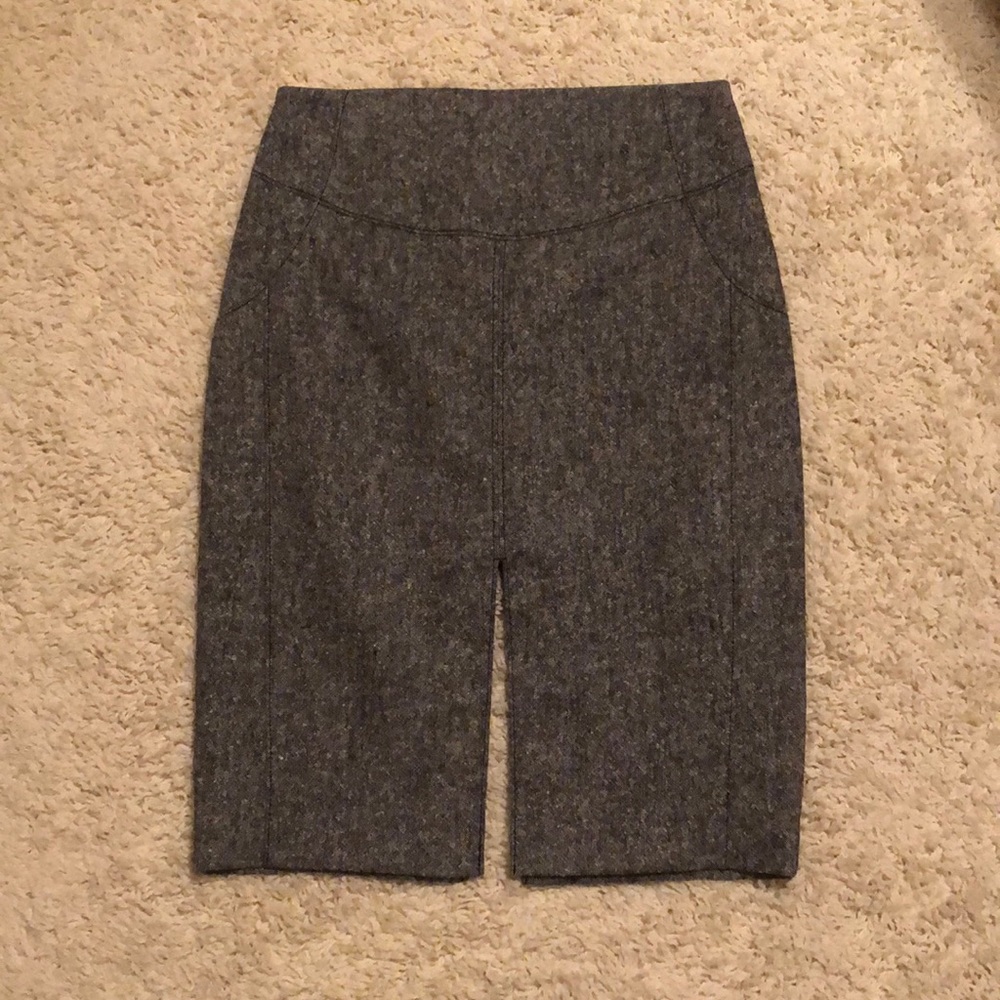 Express Pencil Skirt